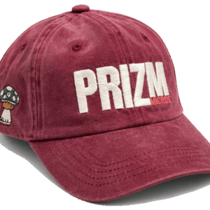 PRIZM Hat